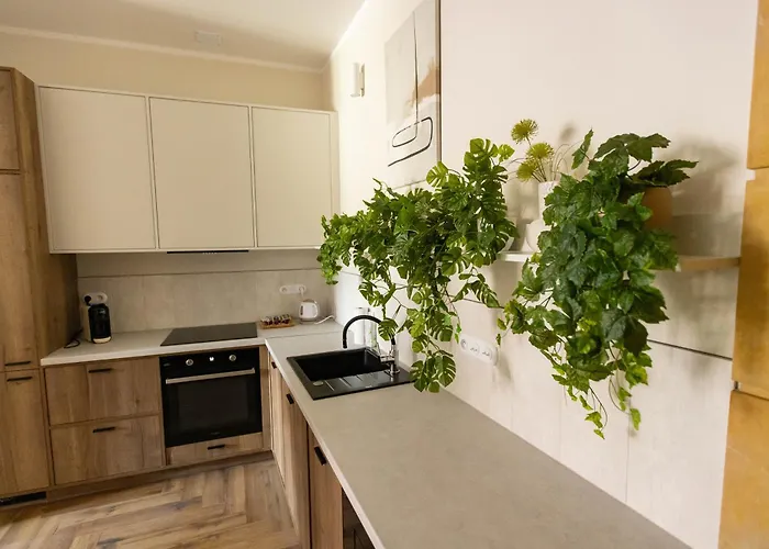 Rynek 12 טארנאו